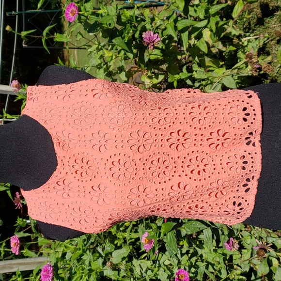 Abercrombie Lace Top - Picture 3 of 3